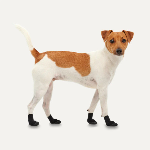 Goo-eez Lites All-Season Dog Boots