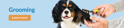 Feeders Pet Suppl
