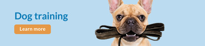 Feeders Pet Suppl