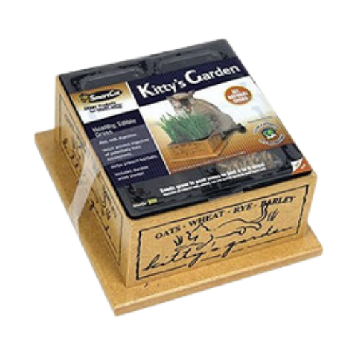 Pioneer Pet Smartcat Kitty's Garden Oats Wheat Rye Barley Box 