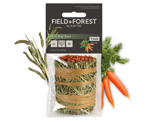 Kaytee Field + Forest Mini Hay Bale with Carrots 3.5 oz