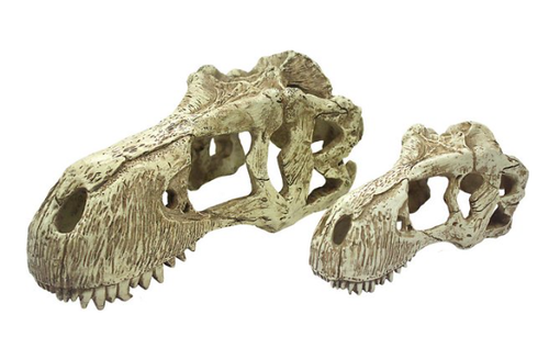 Incredipet T-Rex Skull Reptile Terrrarium Ornament