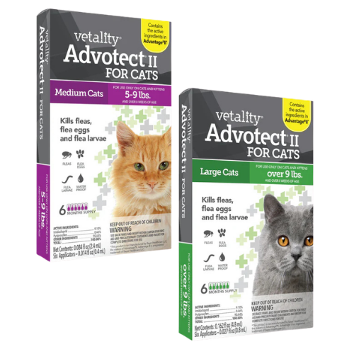 Vetality Advotect II for Cats 6 pack