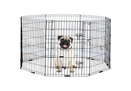 Incredipet Exercise Pen